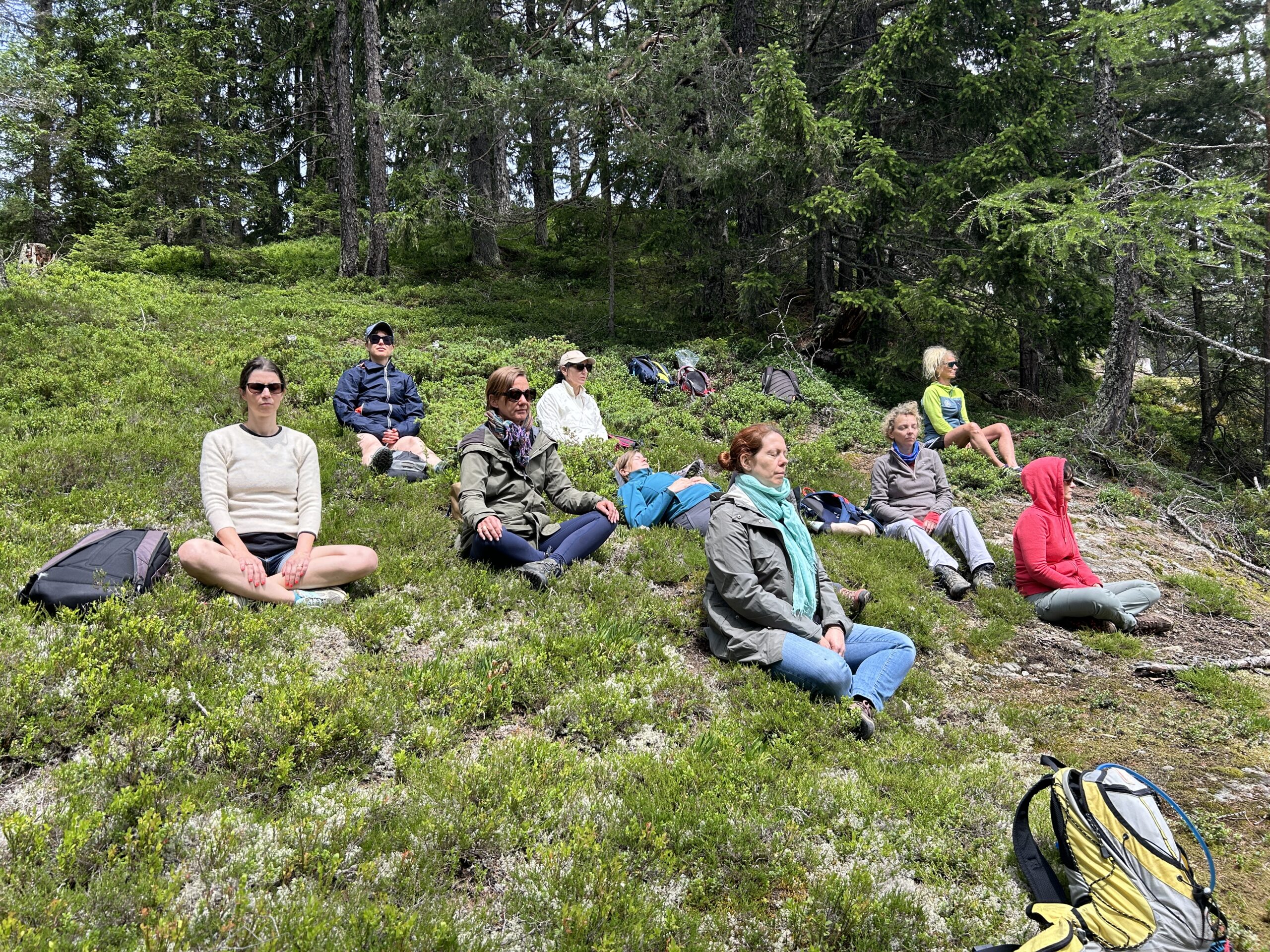 au départ de notre maison d'hôtes des chemins de randonnées passent dans la forêt pour nous emmener en montagne prendre de la hauteur.  marche en silence, méditation guidée en plein air.