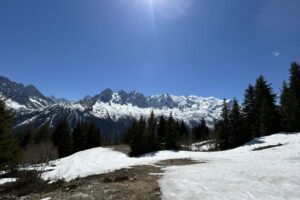 IMG_2562 IMG_2562