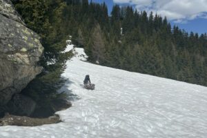 IMG_2604 IMG_2604