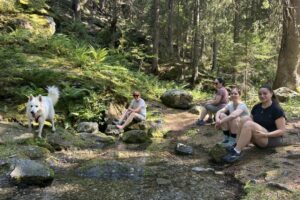 IMG_3462 IMG_3462