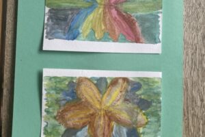 IMG_3512 IMG_3512