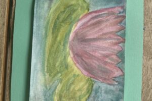 IMG_3513 IMG_3513