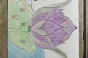 IMG_3514 IMG_3514