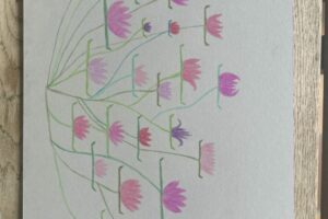 IMG_3515 IMG_3515