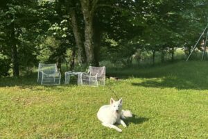 IMG_3524 IMG_3524